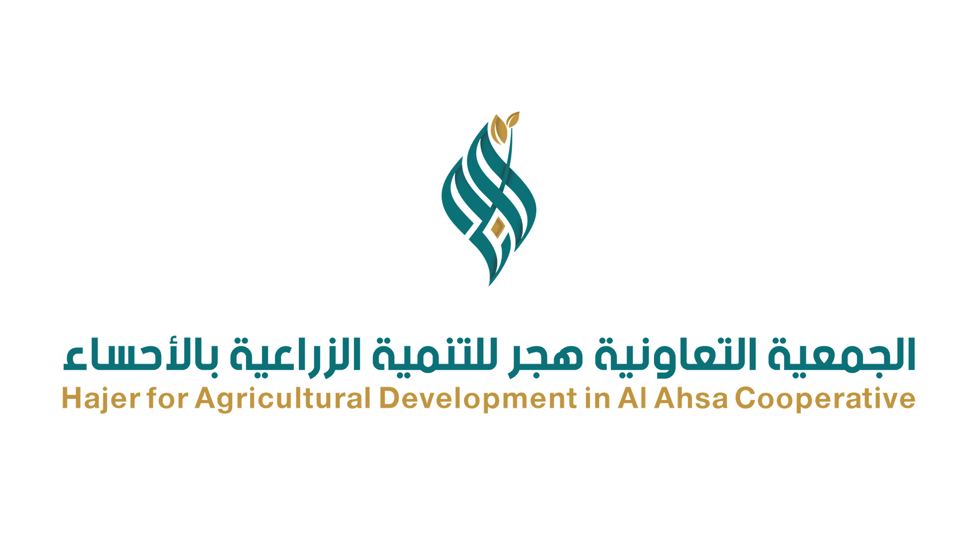 البحث عن مدير تنفيذي