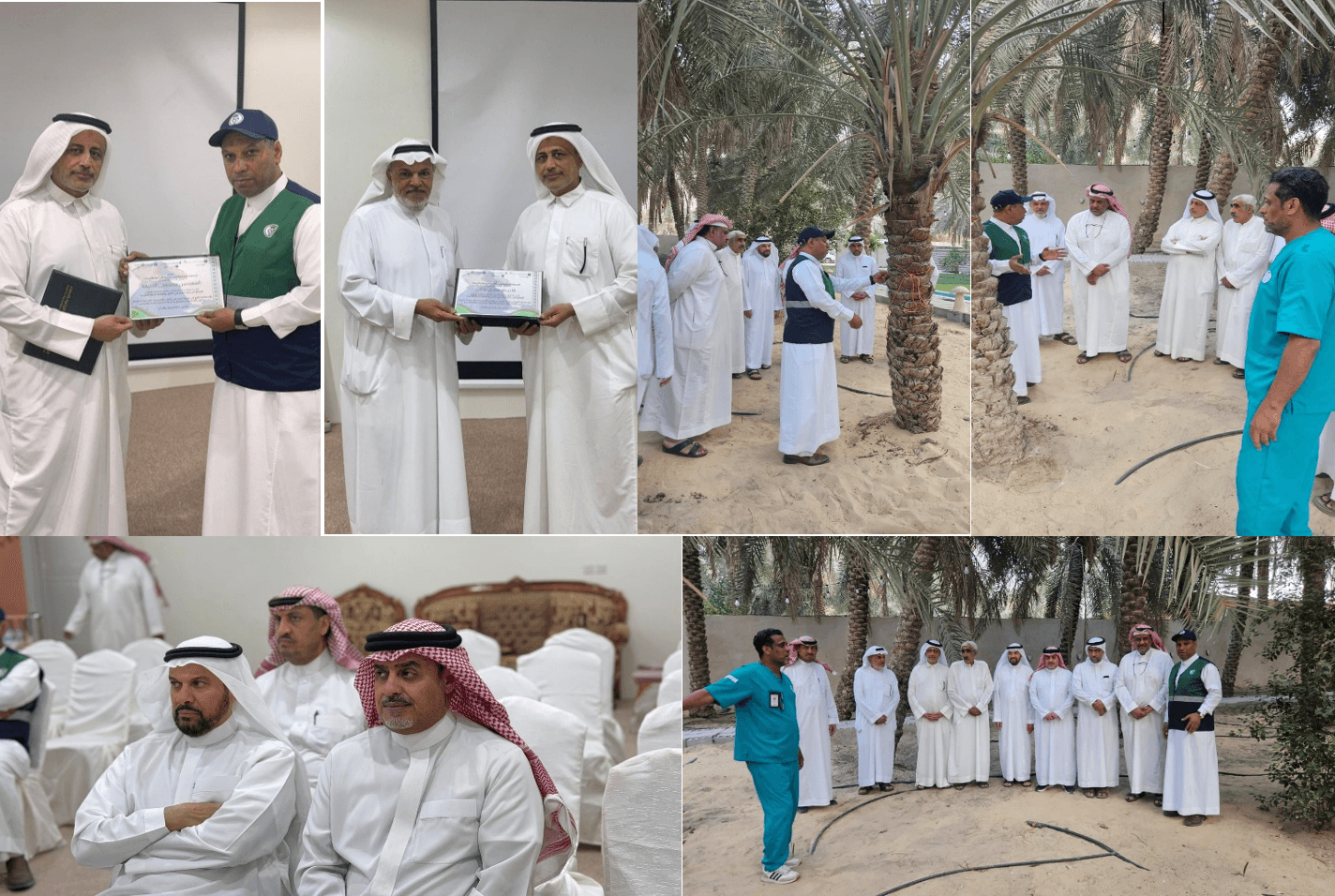 الوقاية من حلم الغبار وأهمية تكريب النخيل